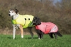 Shires Equiflector Waterproof Dog Coat
